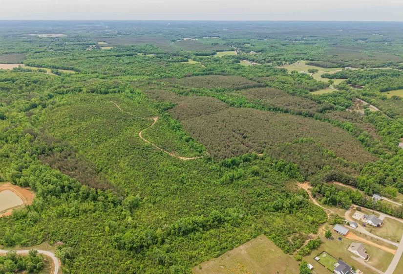 RACE PATH RD, Stantonville, Tennessee 38379, ,Land,For Sale,RACE PATH,10206498