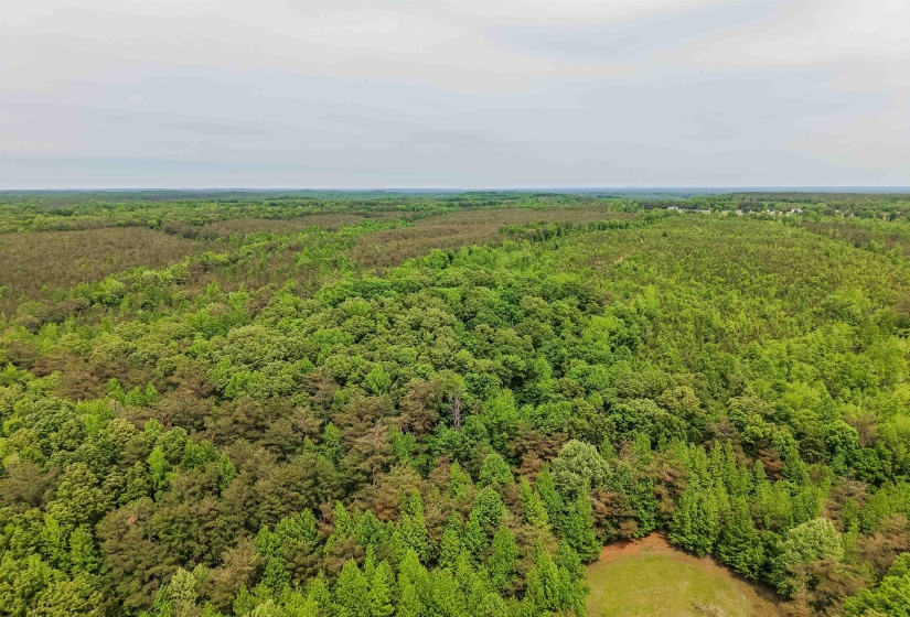 RACE PATH RD, Stantonville, Tennessee 38379, ,Land,For Sale,RACE PATH,10206498