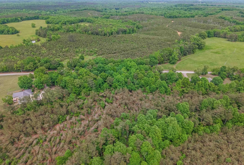 RACE PATH RD, Stantonville, Tennessee 38379, ,Land,For Sale,RACE PATH,10206498