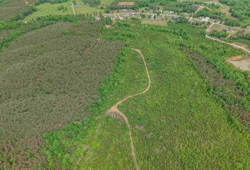 RACE PATH RD, Stantonville, Tennessee 38379, ,Land,For Sale,RACE PATH,10206498
