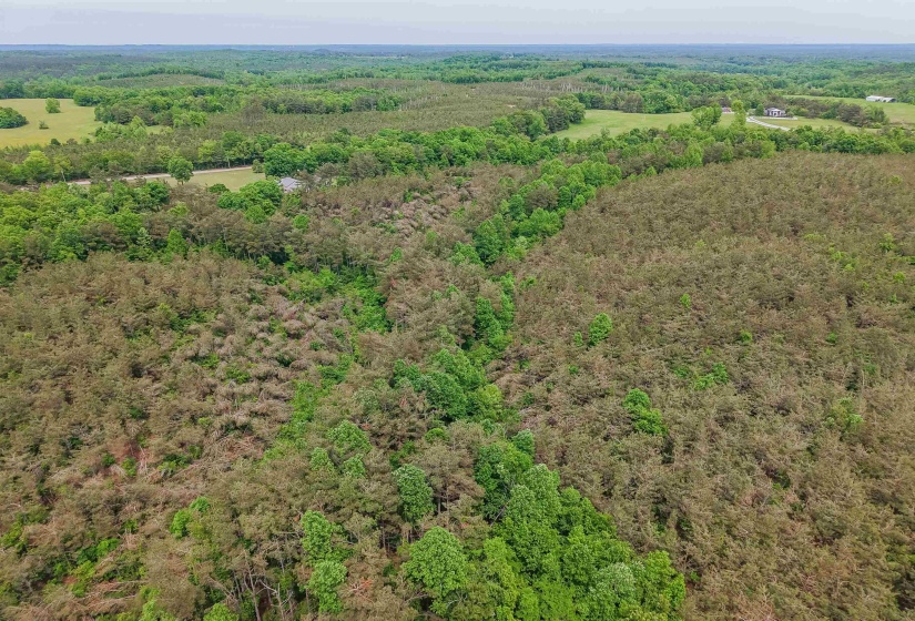 RACE PATH RD, Stantonville, Tennessee 38379, ,Land,For Sale,RACE PATH,10206498