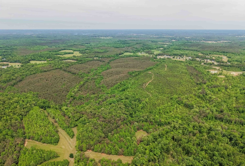 RACE PATH RD, Stantonville, Tennessee 38379, ,Land,For Sale,RACE PATH,10206498