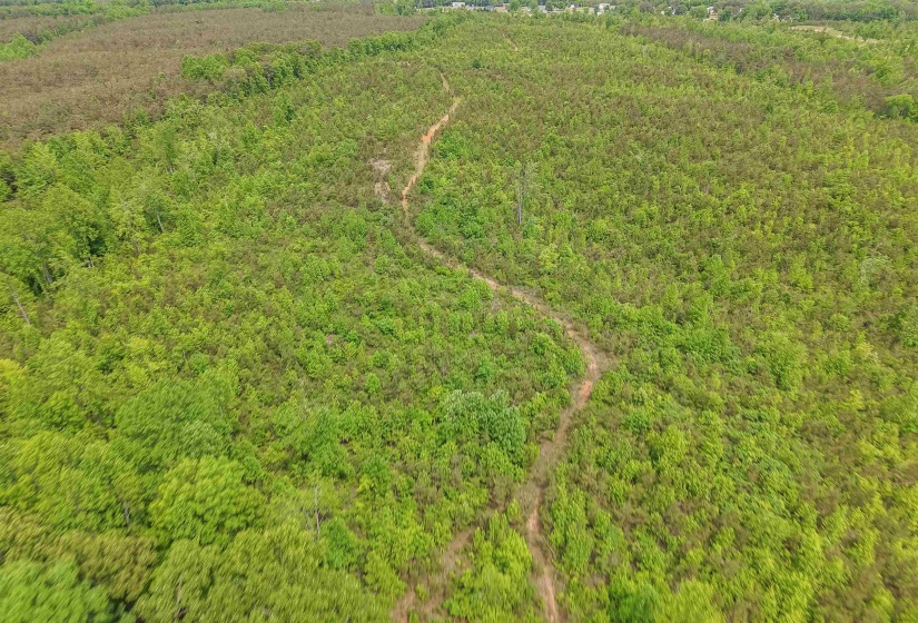 RACE PATH RD, Stantonville, Tennessee 38379, ,Land,For Sale,RACE PATH,10206498