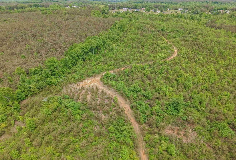 RACE PATH RD, Stantonville, Tennessee 38379, ,Land,For Sale,RACE PATH,10206498