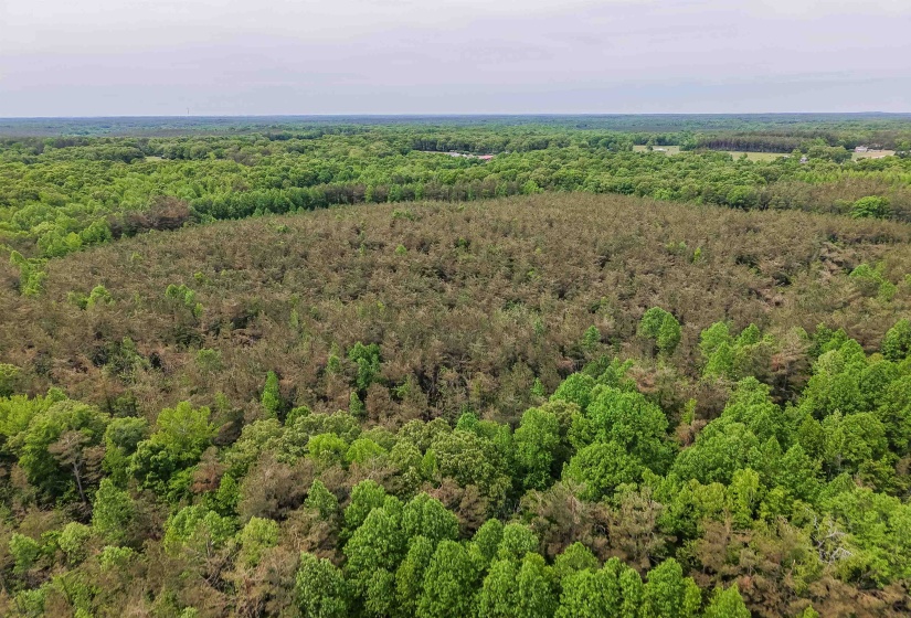 RACE PATH RD, Stantonville, Tennessee 38379, ,Land,For Sale,RACE PATH,10206498