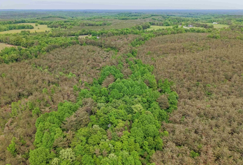RACE PATH RD, Stantonville, Tennessee 38379, ,Land,For Sale,RACE PATH,10206498