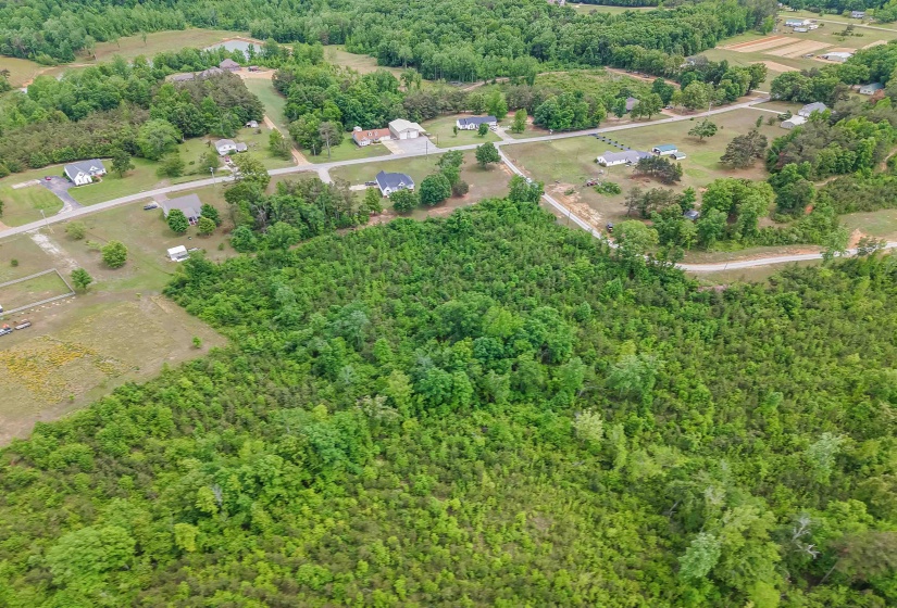 RACE PATH RD, Stantonville, Tennessee 38379, ,Land,For Sale,RACE PATH,10206498