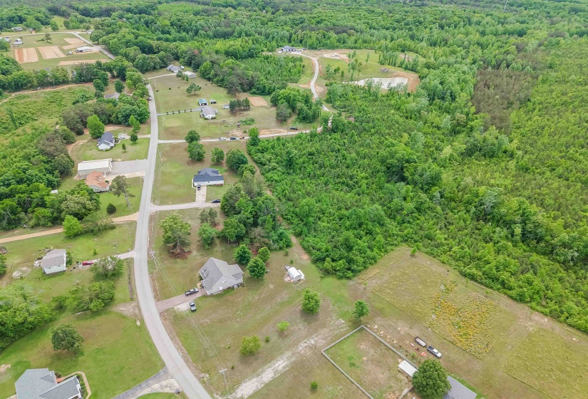 RACE PATH RD, Stantonville, Tennessee 38379, ,Land,For Sale,RACE PATH,10206498