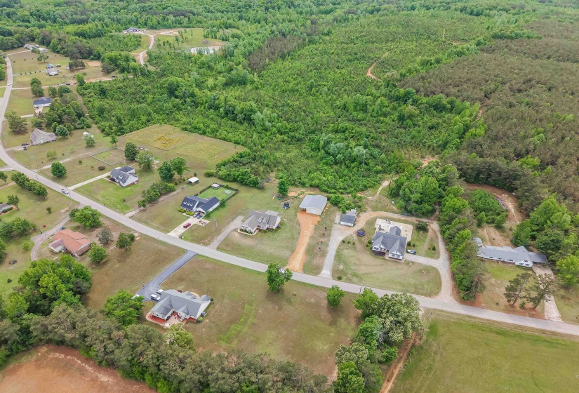 RACE PATH RD, Stantonville, Tennessee 38379, ,Land,For Sale,RACE PATH,10206498