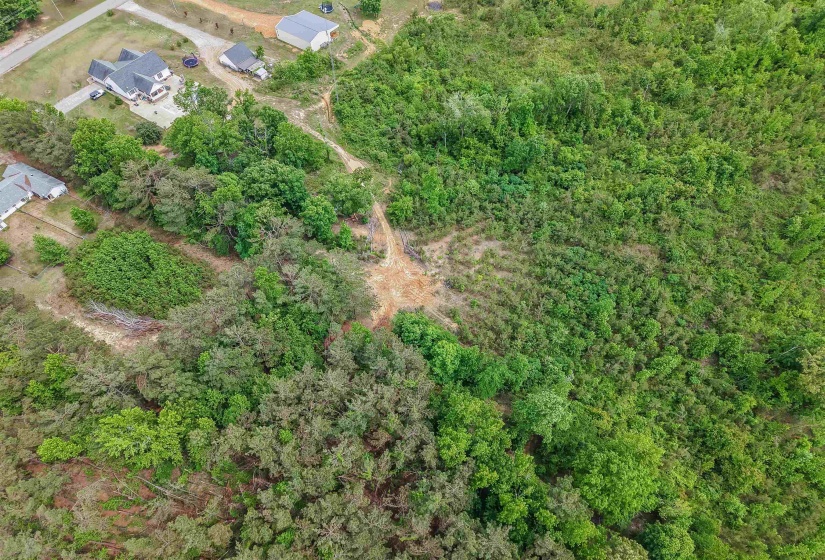 RACE PATH RD, Stantonville, Tennessee 38379, ,Land,For Sale,RACE PATH,10206498