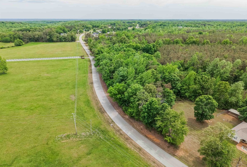 RACE PATH RD, Stantonville, Tennessee 38379, ,Land,For Sale,RACE PATH,10206498