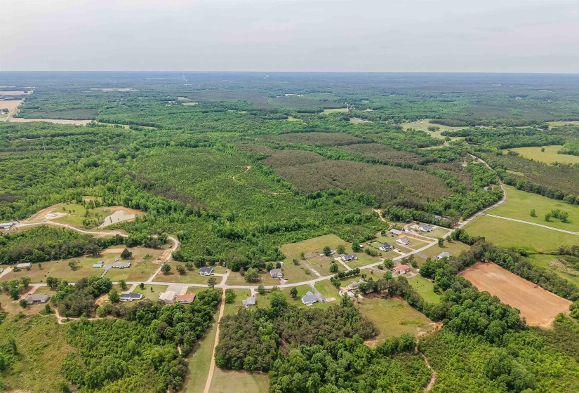 RACE PATH RD, Stantonville, Tennessee 38379, ,Land,For Sale,RACE PATH,10206498