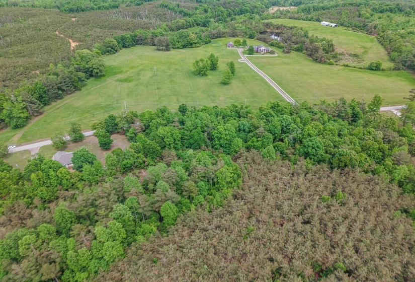 RACE PATH RD, Stantonville, Tennessee 38379, ,Land,For Sale,RACE PATH,10206498
