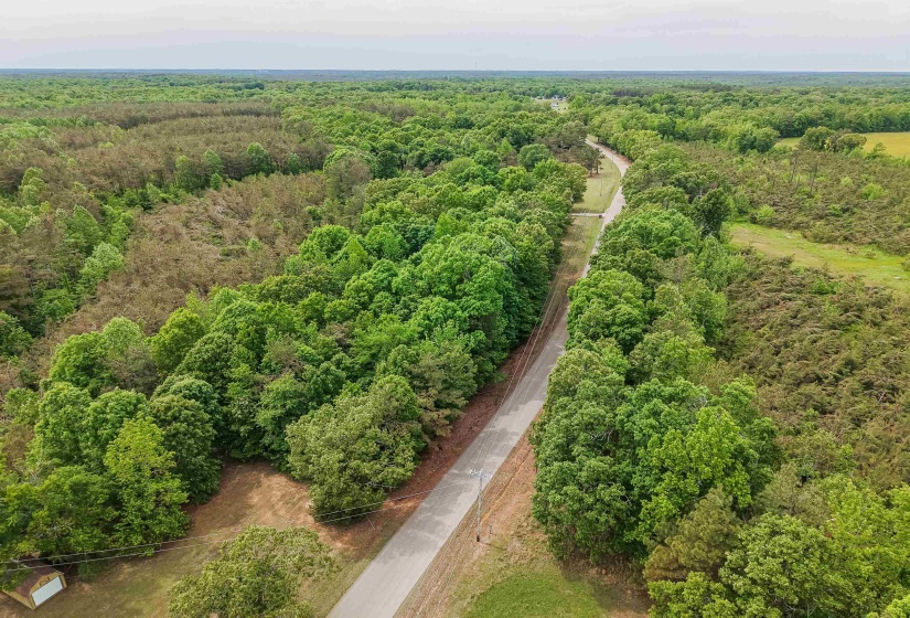 RACE PATH RD, Stantonville, Tennessee 38379, ,Land,For Sale,RACE PATH,10206498