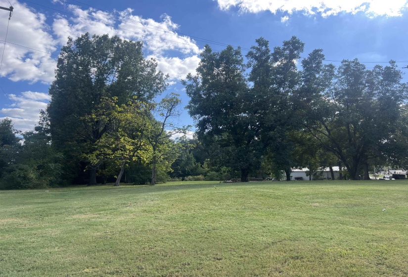 View of green lawn
