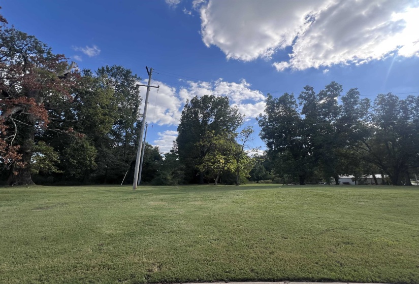 View of grassy yard