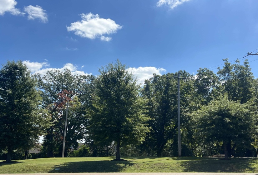 View of green lawn