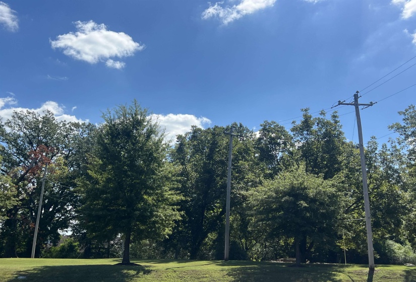 View of green lawn