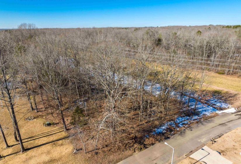4237 HICKORY RUN PL, Arlington, Tennessee 38028, ,Land,For Sale,HICKORY RUN,10188649