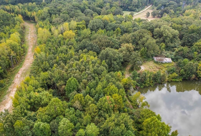 Aerial view of a nearby body of water and a forest