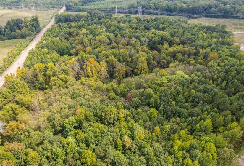 Bird's eye view of a heavily wooded area