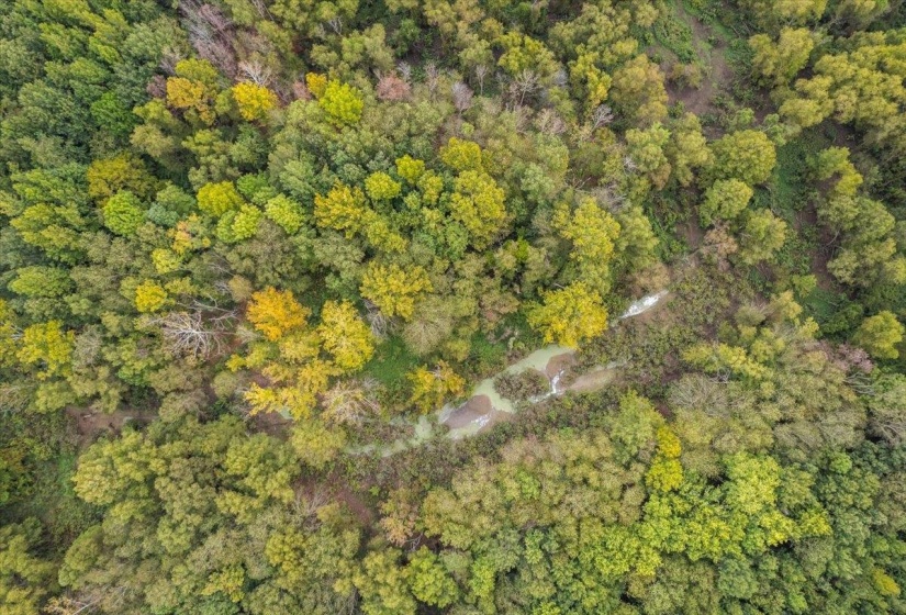 Aerial view of property's location with a heavily wooded area