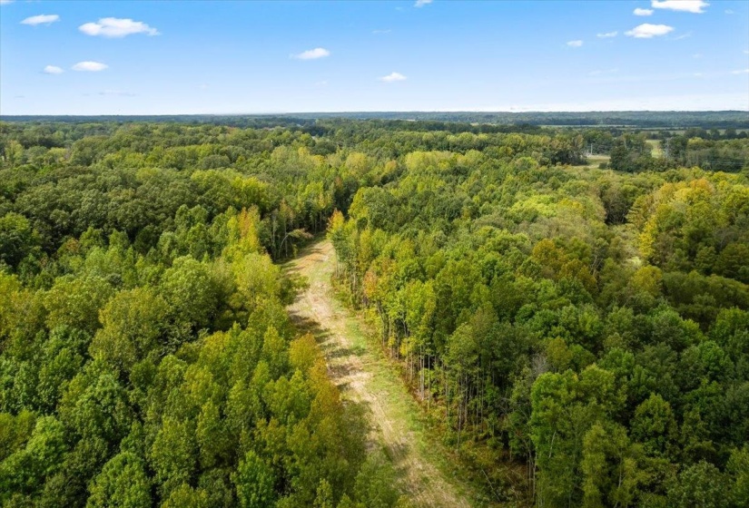 Drone / aerial view of a heavily wooded area