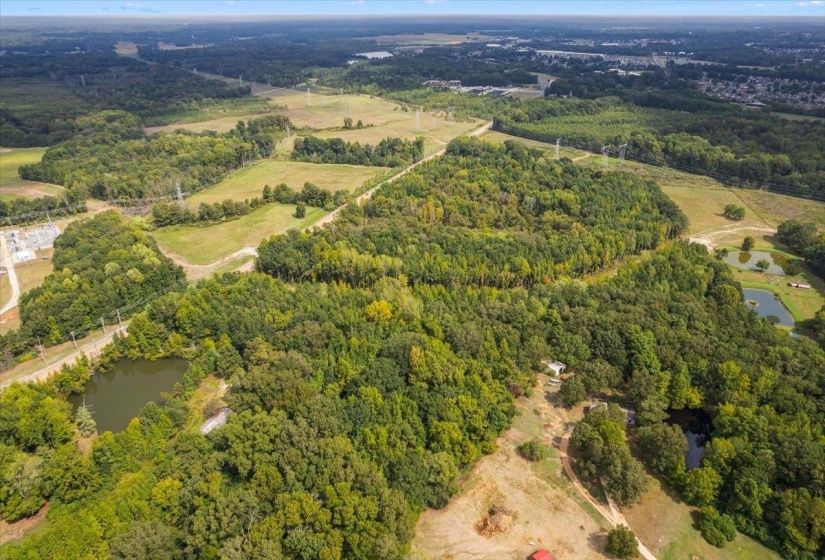Aerial overview of property's location featuring a large body of water and a forest