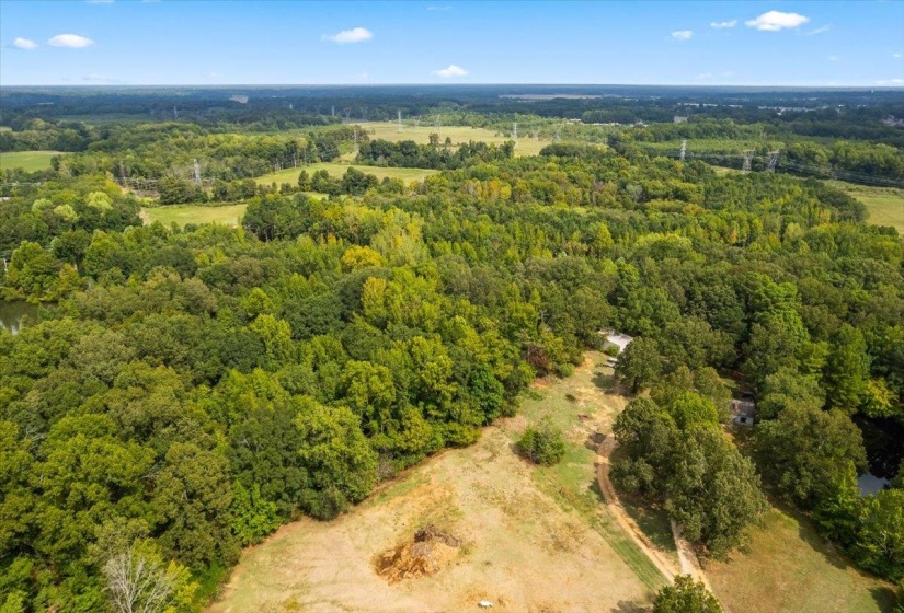 Bird's eye view of a heavily wooded area