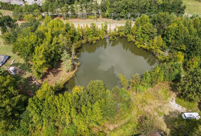 Bird's eye view of a large body of water and a tree filled landscape