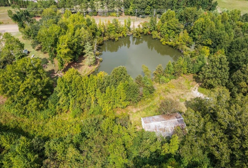 Bird's eye view of a nearby body of water
