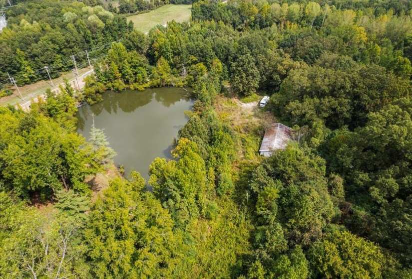 Drone / aerial view of a nearby body of water and a heavily wooded area