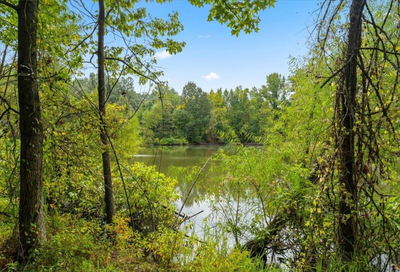Water view featuring a forest