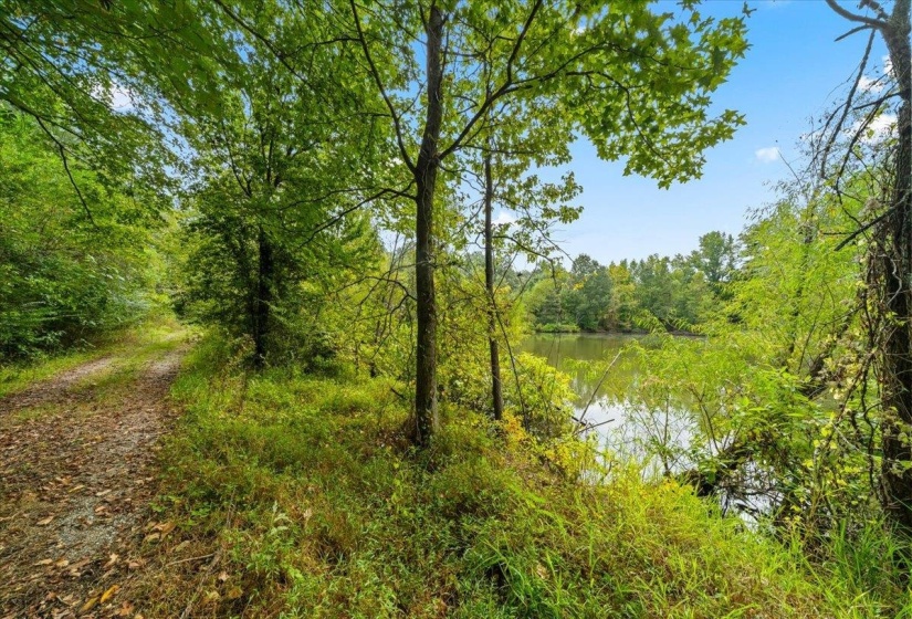 View of wooded area featuring a water view