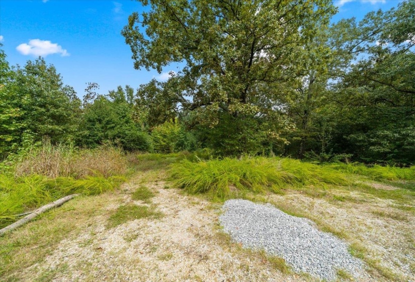 View of undeveloped land