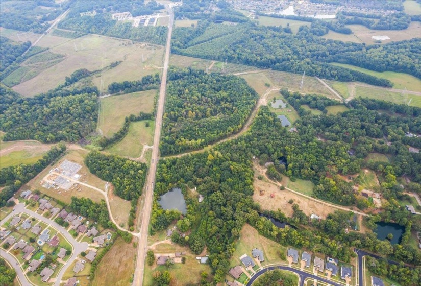 Aerial view of a tree filled landscape