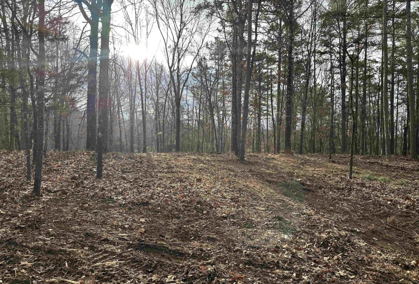 914 PARK SWAIN RD, Grand Junction, Tennessee 38039, ,Land,For Sale,PARK SWAIN,10206652