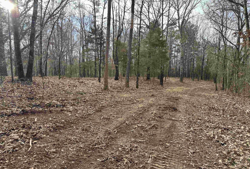914 PARK SWAIN RD, Grand Junction, Tennessee 38039, ,Land,For Sale,PARK SWAIN,10206652