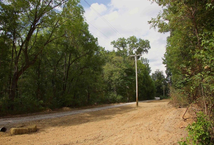 View of dirt / gravel road with a view of trees