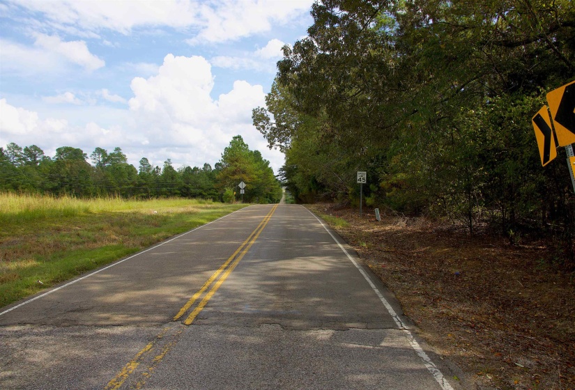 View of asphalt road featuring traffic signs and a forest view