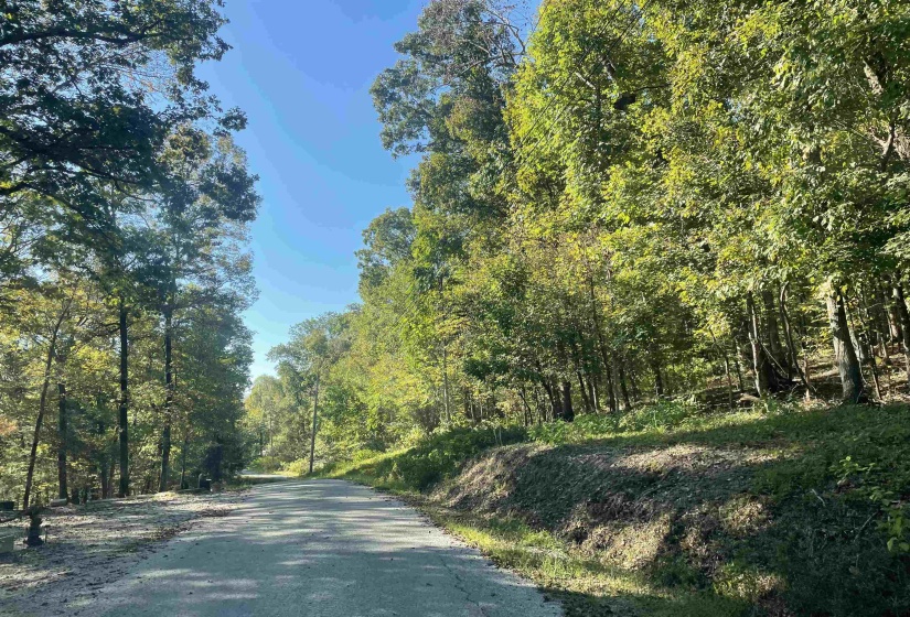 LOT 50 CROW LN, Bath Springs, Tennessee 38311, 0 , 0 ,0,Land,For Sale,CROW,0,10206901