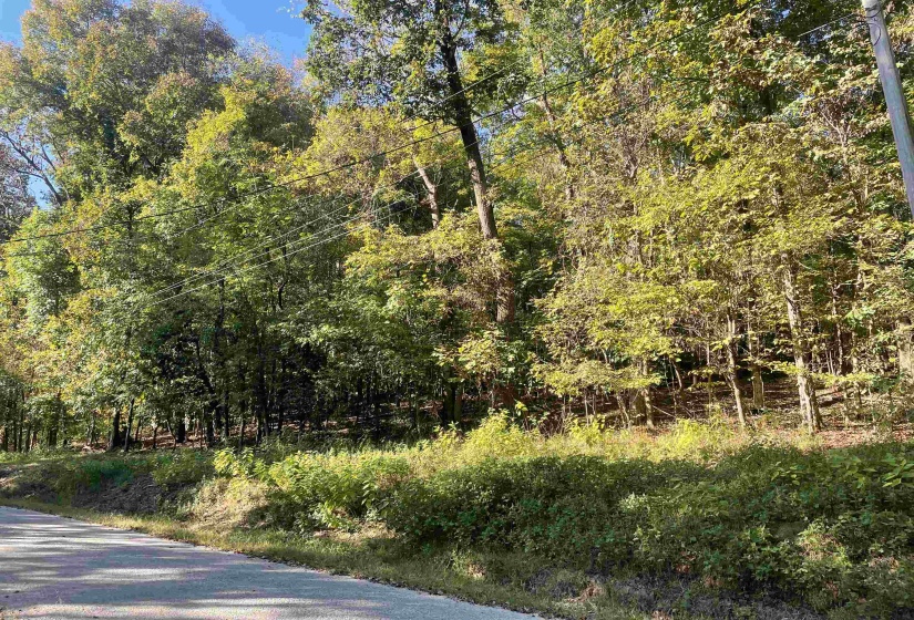 LOT 50 CROW LN, Bath Springs, Tennessee 38311, 0 , 0 ,0,Land,For Sale,CROW,0,10206901