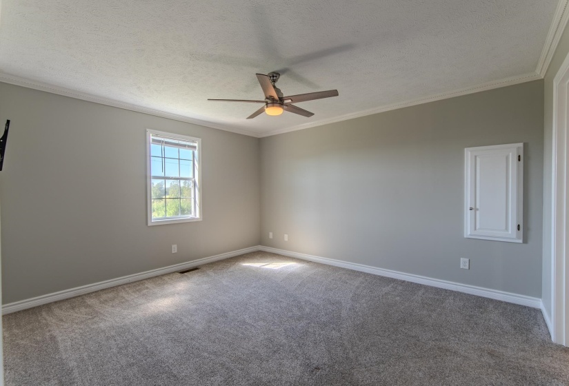 Carpeted spare room with crown molding, a textured ceiling, and a ceiling fan