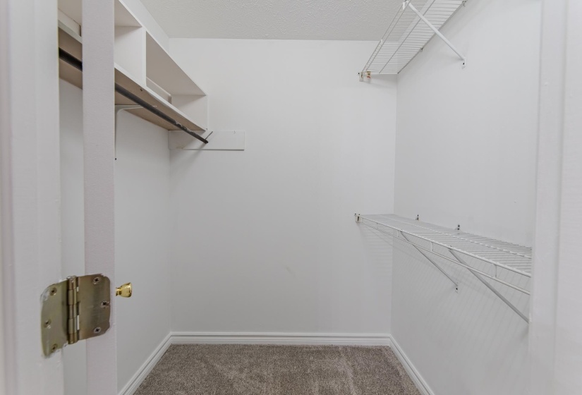 Walk in closet with carpet floors