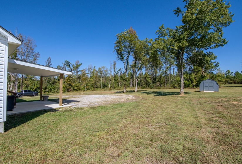 View of green lawn with a shed