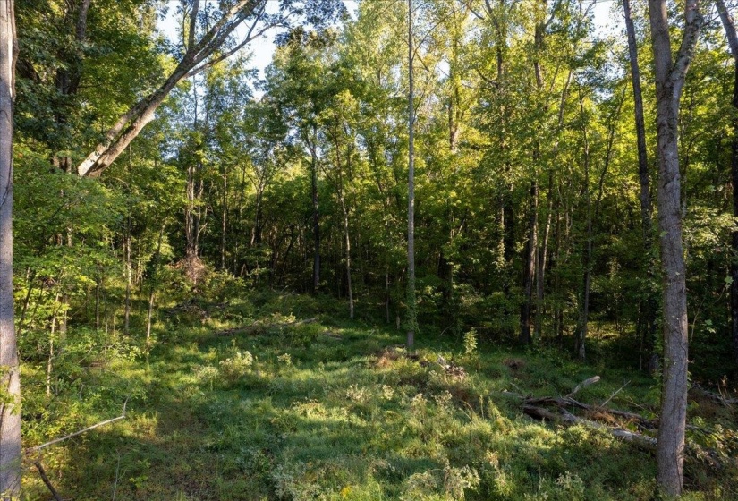 2078 RUSSELL BOND RD, Millington, Tennessee 38053, 1 Bedroom Bedrooms, 3 Rooms Rooms,1 BathroomBathrooms,Residential,For Sale,RUSSELL BOND,10207064