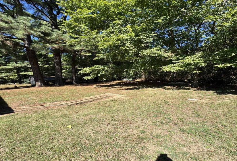 View of grassy yard