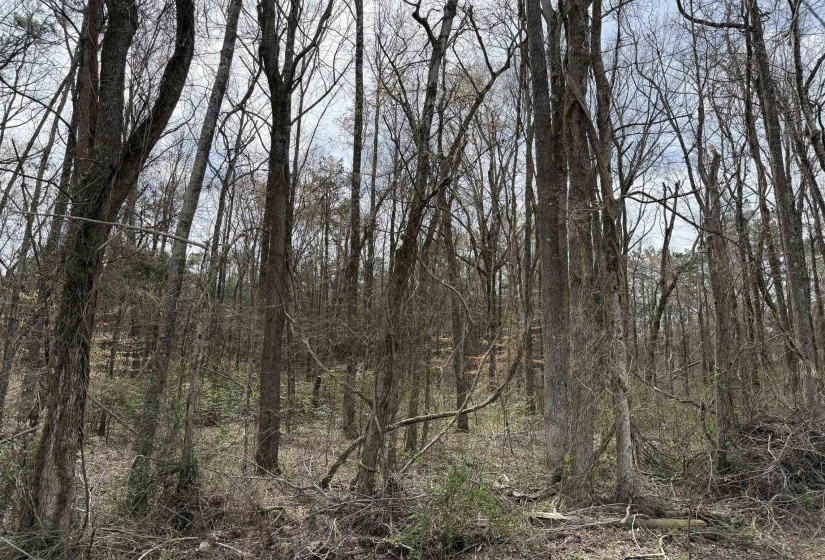 1 69 HWY, Milledgeville, Tennessee 38359, ,Land,For Sale,69,10207130