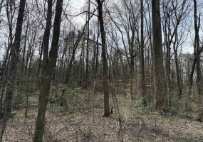 1 69 HWY, Milledgeville, Tennessee 38359, ,Land,For Sale,69,10207130 1 69 HWY, Milledgeville, Tennessee 38359, ,Land,For Sale,69,10207130