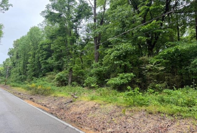 0 ALLEN RD, Memphis, Tennessee 38128, ,Land,For Sale,ALLEN,10207133